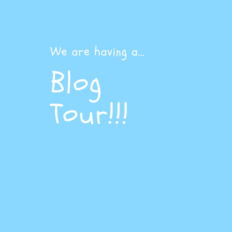 Blog Tour – What Happened To Us?